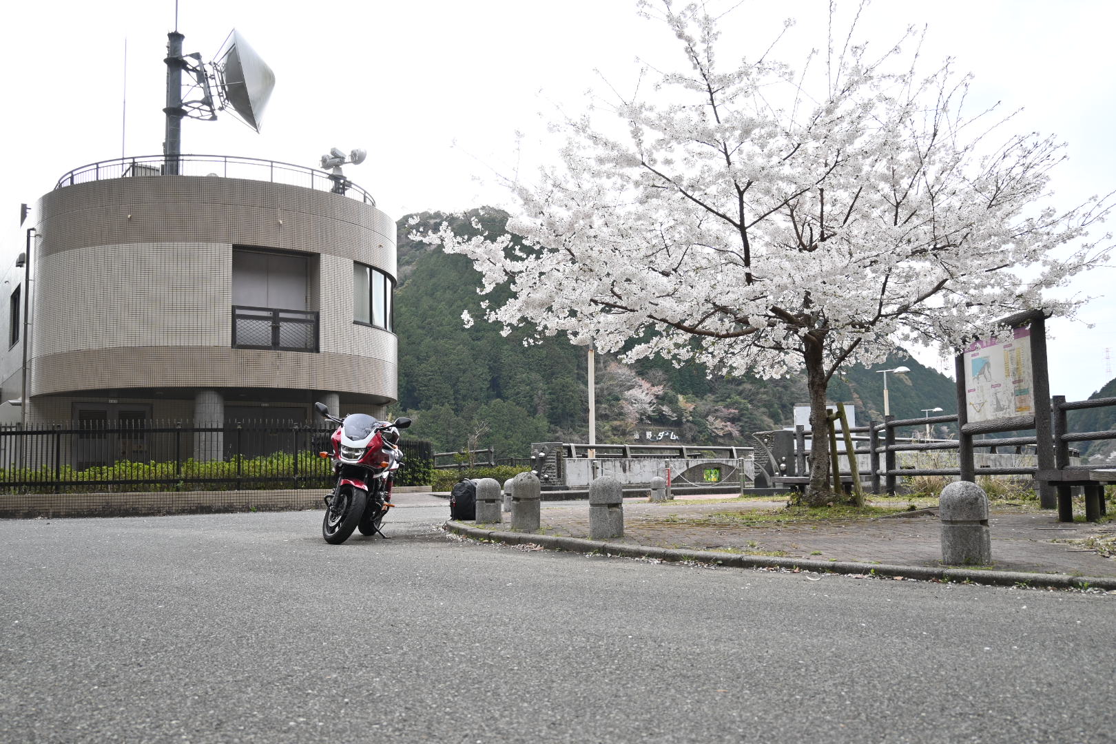 クルマ/バイク画像