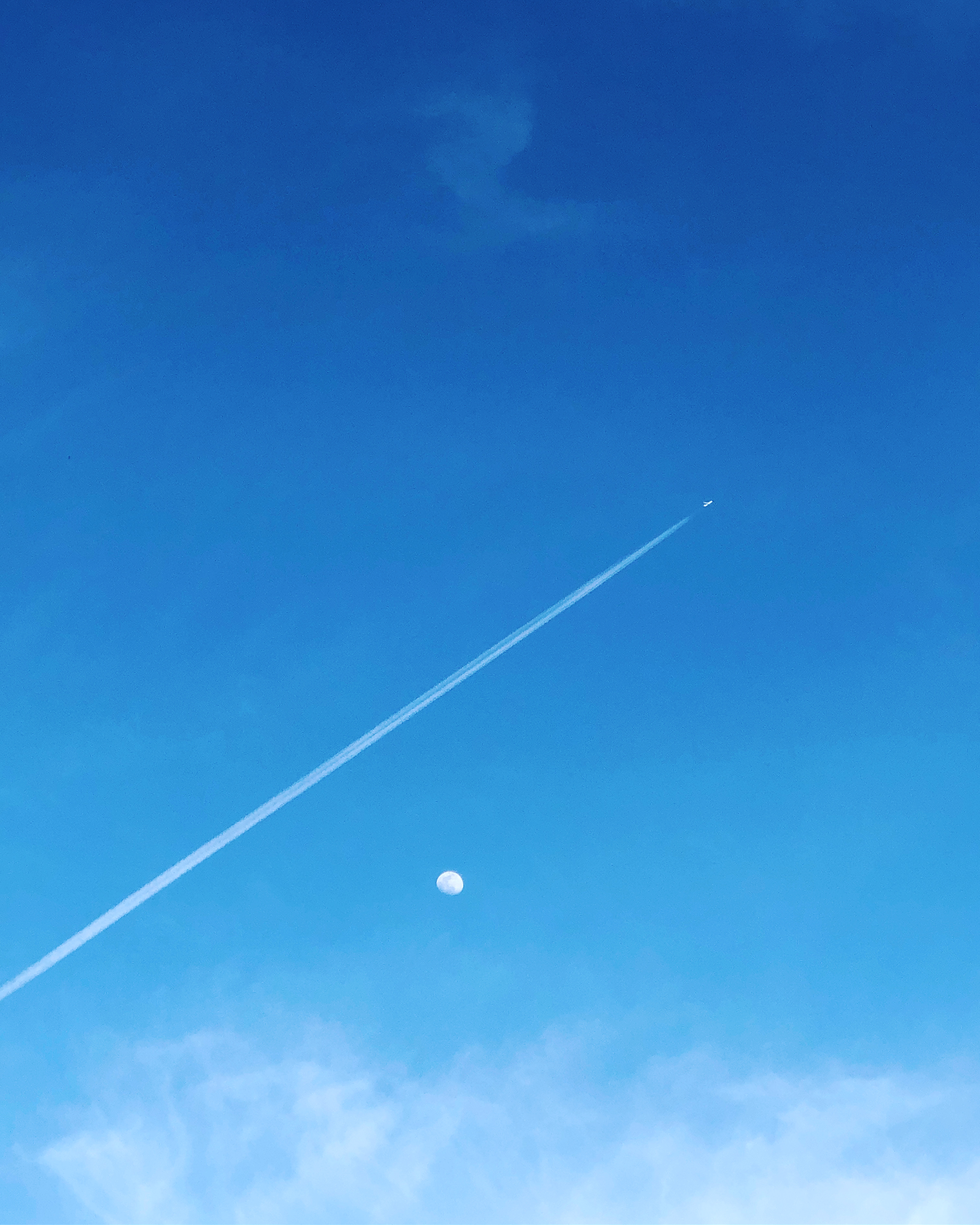 エンジニアリング